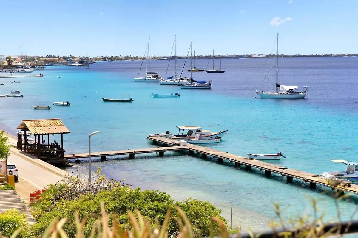 Playa Lechi Penthouse With Full Ocean View Apartment  Kralendijk (Bonaire)